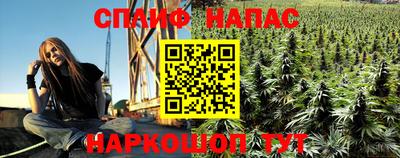 ешки Краснознаменск