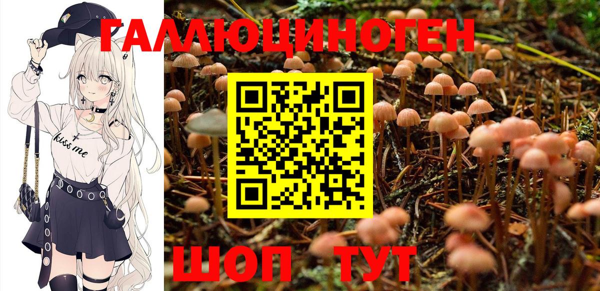 A-PVP Сатка