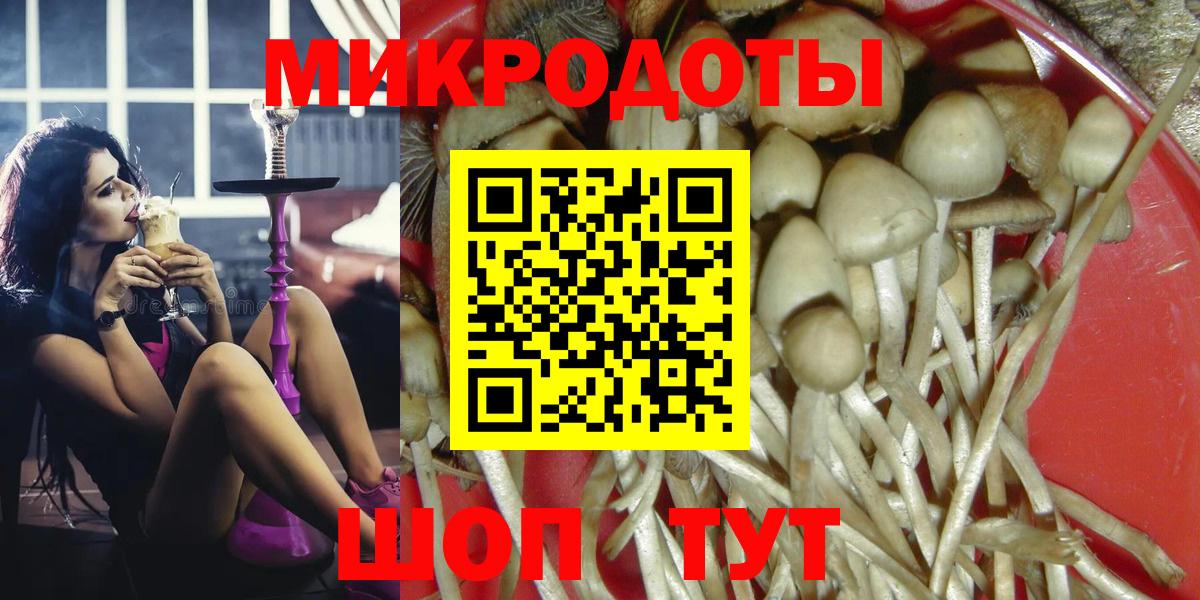 цена   Псилоцибиновые грибы Magic Shrooms  Вход с VPN  Сатка 